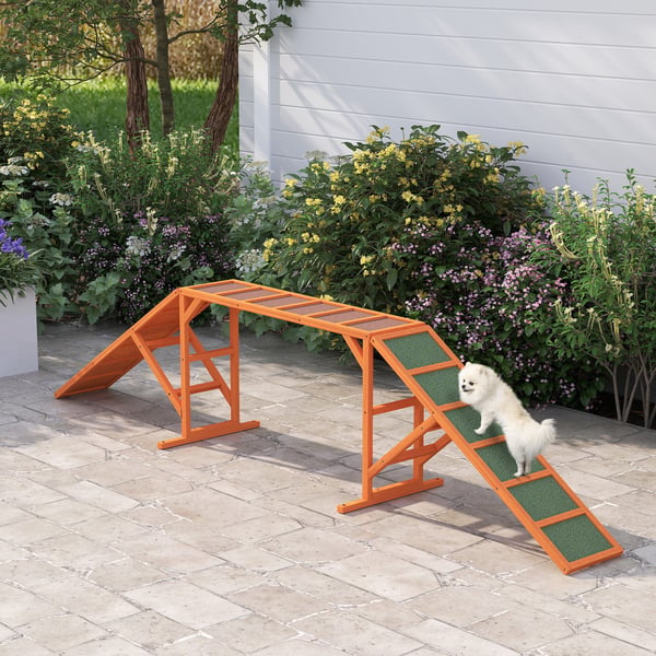 Hund Agility Rampe, 325x55x69 cm, Orange