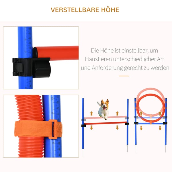 Hundagility träningsset, 86x50x60 cm, blå, röd