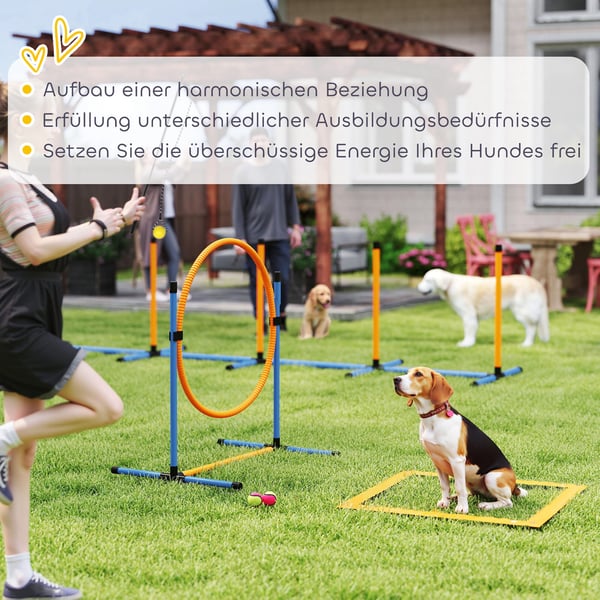 Agility Set, 348x93x92 cm, Blå och Orange