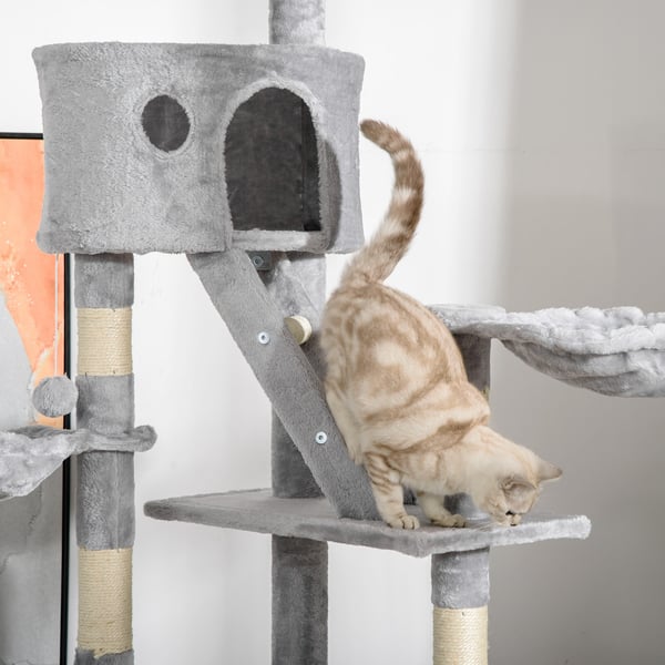 Kattträd, 60x45x240-260 cm, Ljusgrå