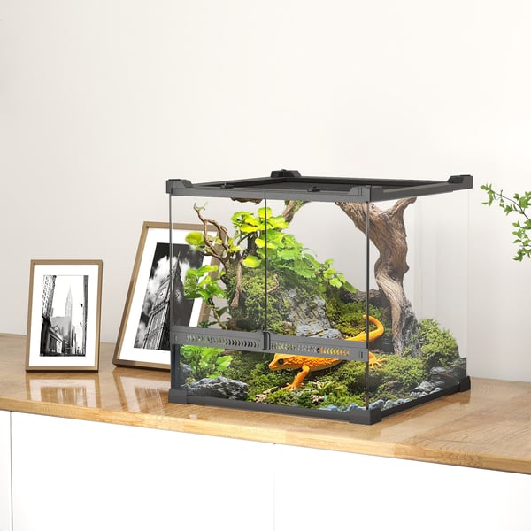 Glasterrarium, 30x30x30 cm, svart