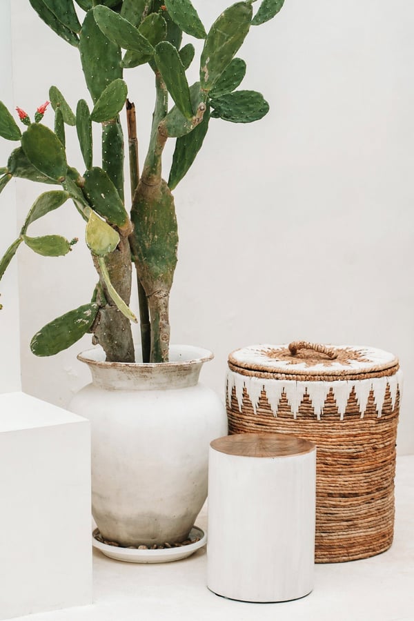 The Tribe Skammel - Naturlig Hvid
