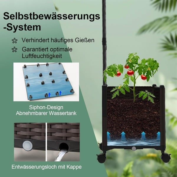 Havebue Espalier, 202x40x288 cm, Sort og Brun