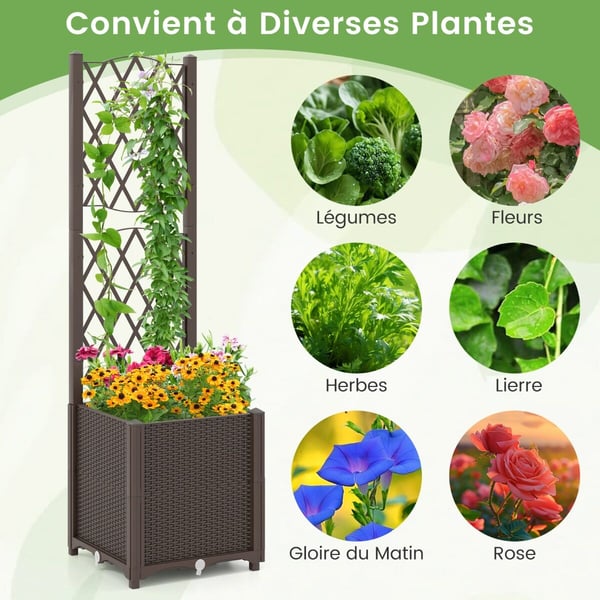 Planter med Espalier, 40x40x140 cm, Kaffe
