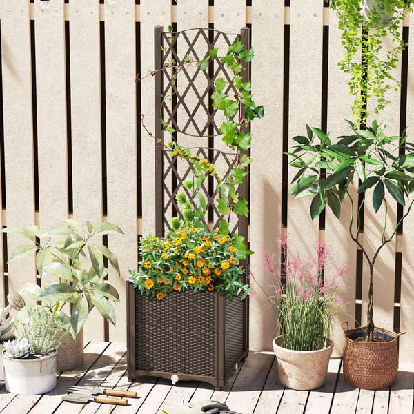 Planter med Espalier, 40x40x140 cm, Kaffe