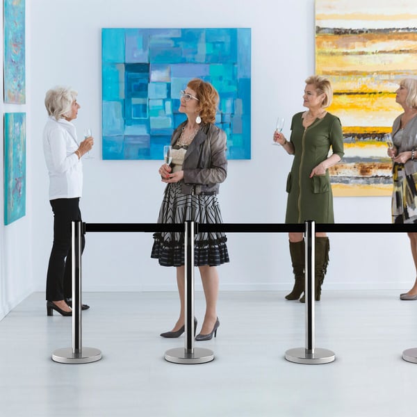 Mængdekontrolbarriere, 89×6×198 cm, Sort