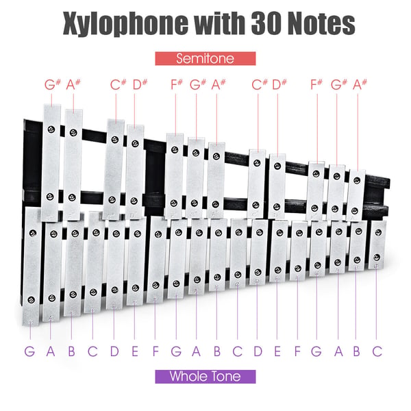 Glockenspiel Xylofon, 55.88x33.02x5.08 cm, Sort Sølv