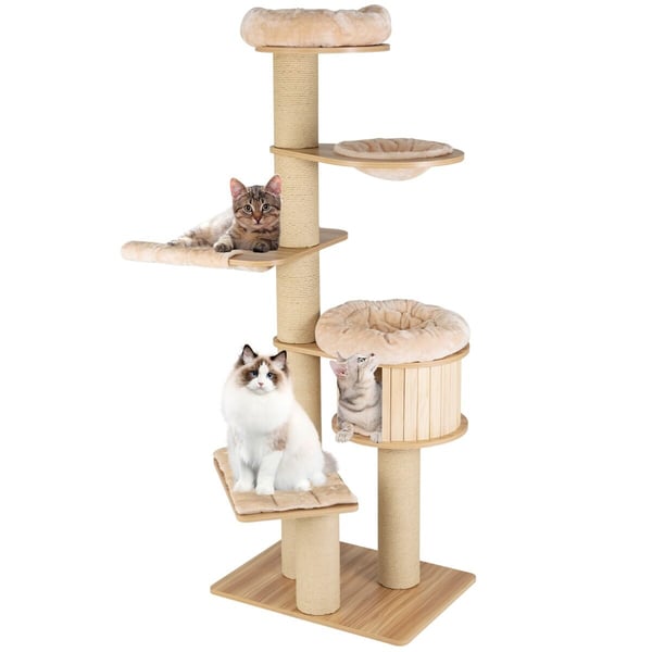 Katte træ, 75x56x191 cm, Beige
