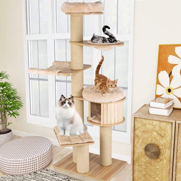 Katte træ, 75x56x191 cm, Beige