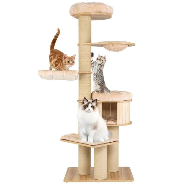 Katte træ, 75x56x191 cm, Beige