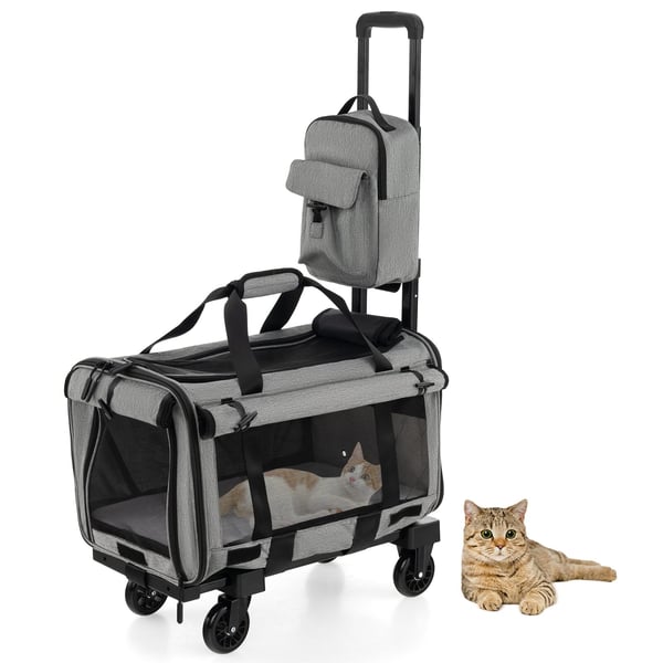 Kat Transportkasse, 58×37×64 cm, Grå Kat Transportkasse, 58×37×64 cm, Grå