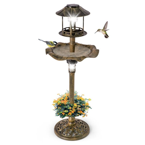 Fuglebad og Foderbræt Kombination, 43x110 cm, Bronze
