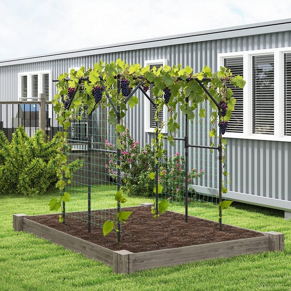 Havebue espalier, 200x150x197 cm, sort