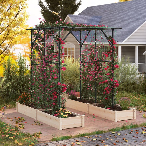 Havebue espalier, 200x150x197 cm, sort