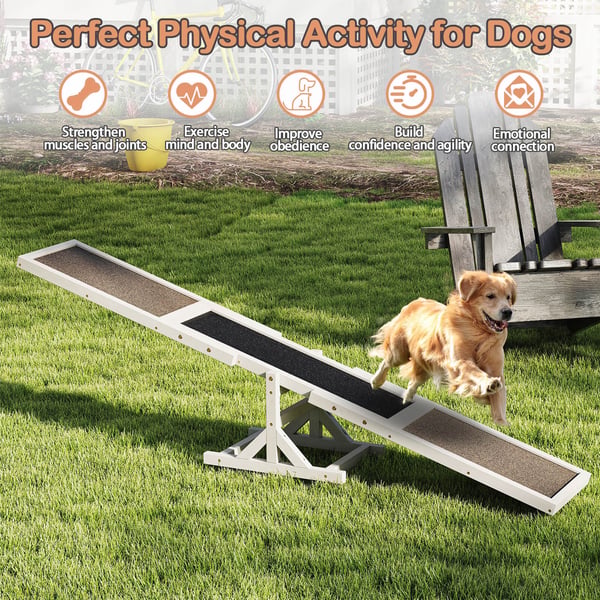 Hund Agility vippe, 179x30x55 cm, hvid