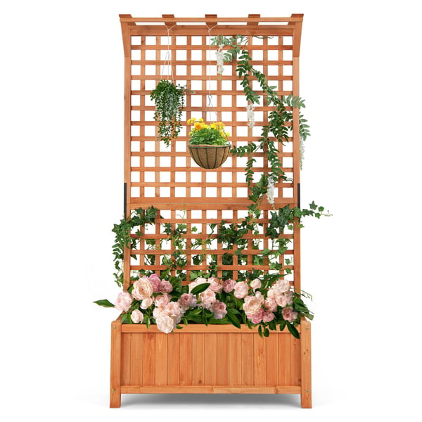 Hævet plantebed med espalier og hængende tag, 35.5x17.5x72.5 cm, natur