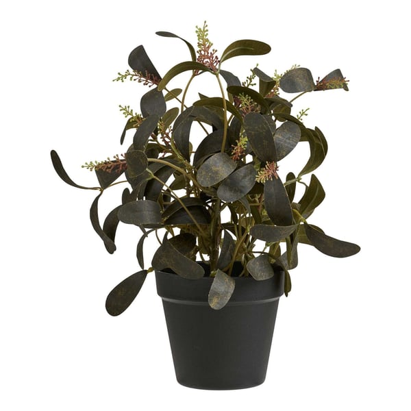 Kasvi, Plant, vihreä, PE-muovi