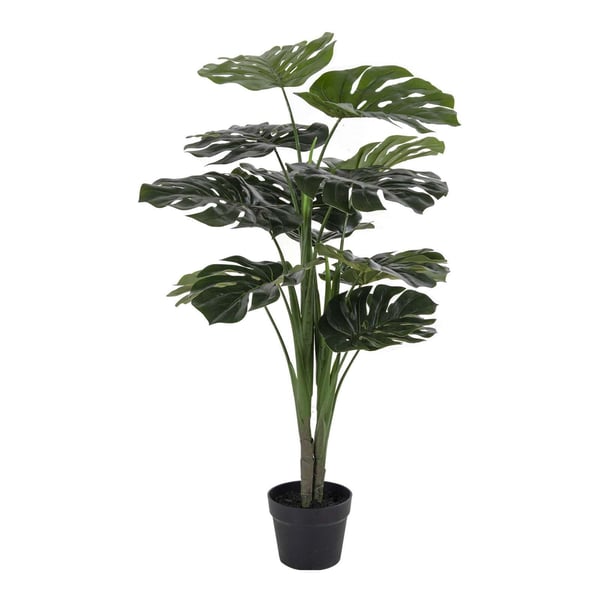Kasvi, tekomonstera, 90 cm, vihreä