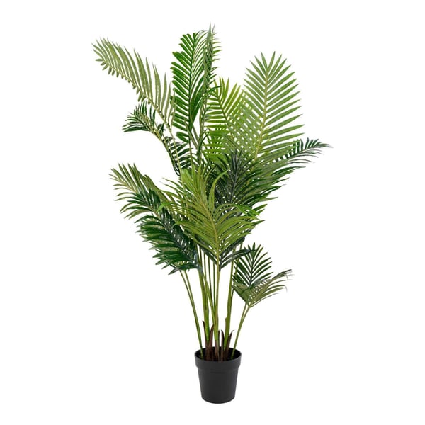 Plante, Areca, grøn, PE-plast