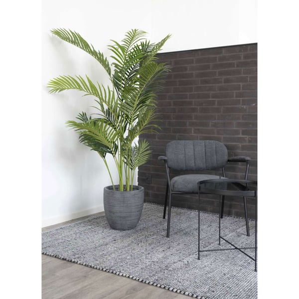 Plante, Areca, grøn, PE-plast