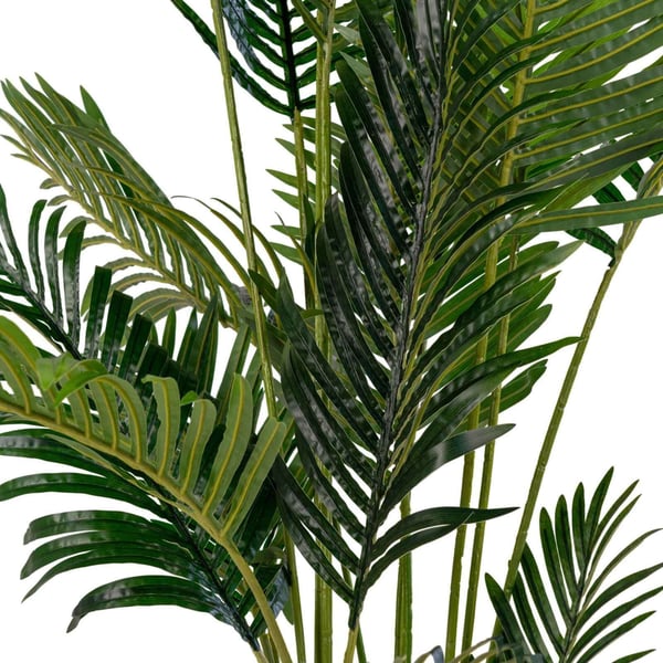 Plante, Areca, grøn, PE-plast
