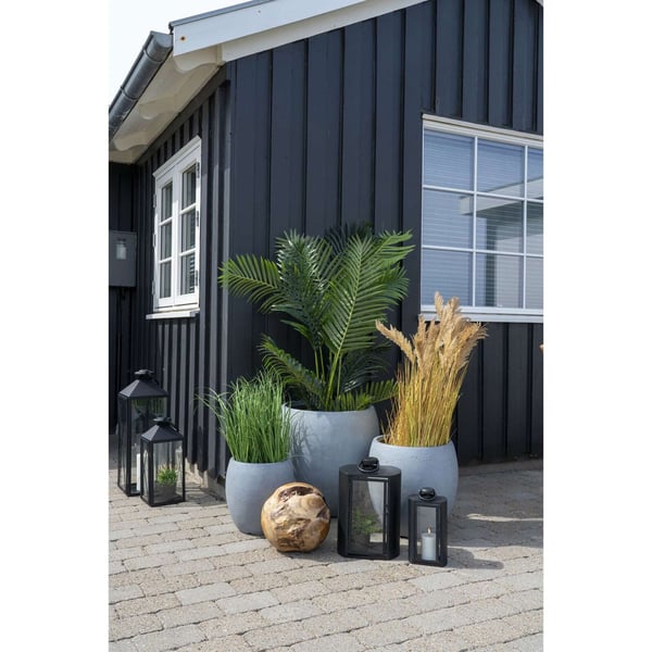 Plante, Areca, grøn, PE-plast