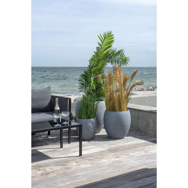Plante, Areca, grøn, PE-plast