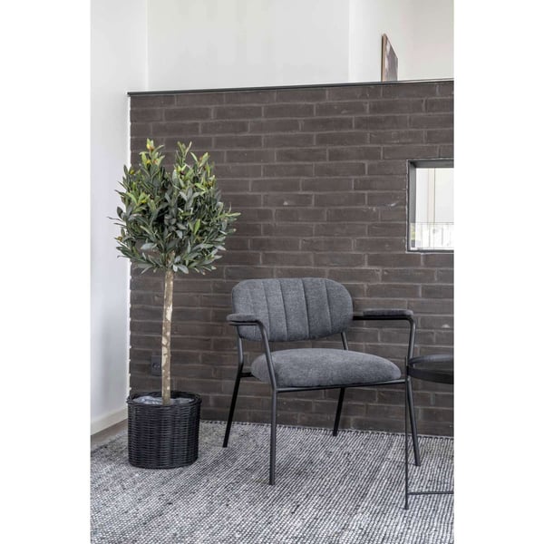 Plante, Olive, grøn, PE-plast