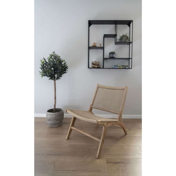Plante, Olive, grøn, PE-plast