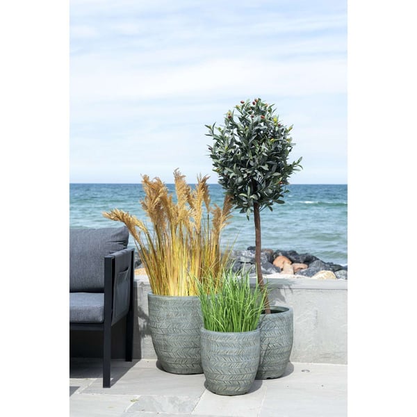 Plante, Sorghum, naturfarvet