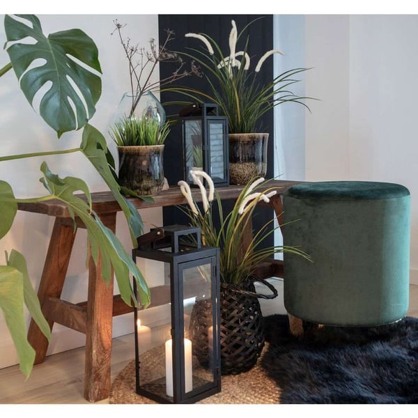 Bänk, Barcelona, naturfärgad