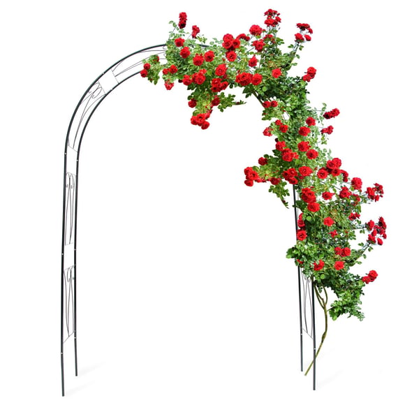 Espalier, 153x39x233 cm, Grøn, Kodustaar