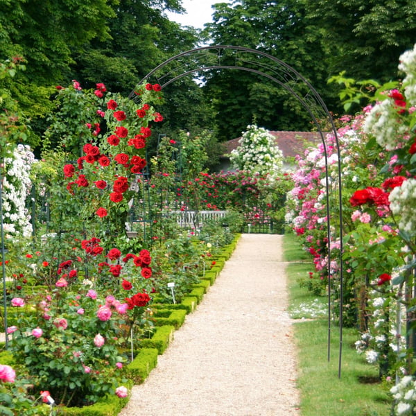 Espalier, 153x39x233 cm, Grøn, Kodustaar