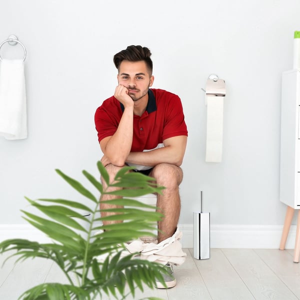 Toiletbørsteholder, vægmonteret, 38,5x8x8 cm, sølv