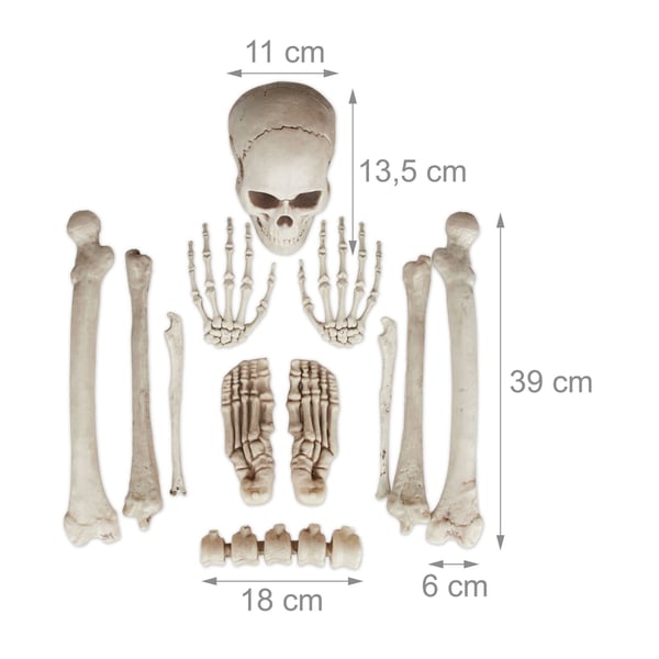 Skelettdekoration Set, 39x6x4 cm, Vit, Kodustaar