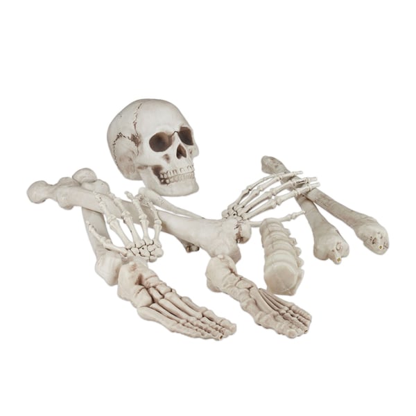 Skelettdekoration Set, 39x6x4 cm, Vit, Kodustaar