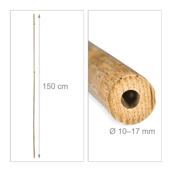Bambupinnar, 150 cm, 25 st, Kodustaar