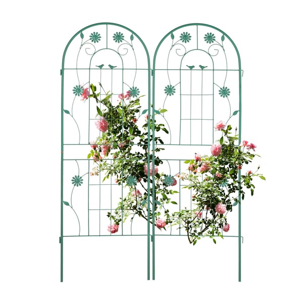 Espalier-sæt, 150x103x2 cm, Grøn, Kodustaar