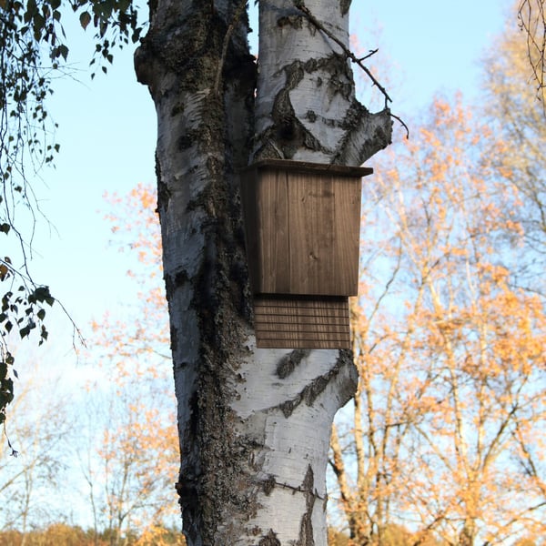 Flagermusehus, 37x22x12,5 cm, Brun, Kodustaar
