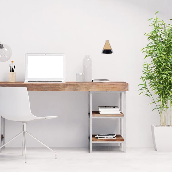 Sopskyffel och borste set, 16,5x15x4 cm, Svart, Vit, Natur, Kodustaar