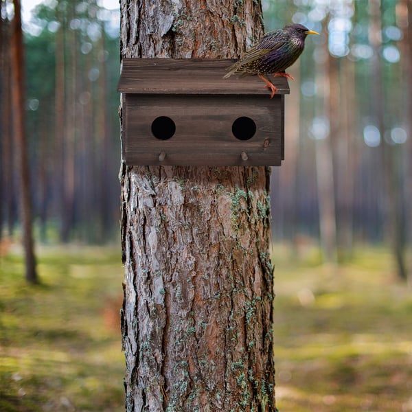 Pesälaatikko, Kaksoispesälaatikko, 22x35x18 cm, Ruskea, Kodustaar