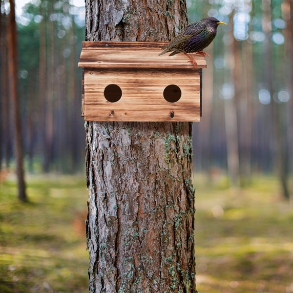 Pesälaatikko, Kaksoispesälaatikko, 22x35x18 cm, Luonnollinen, Kodustaar