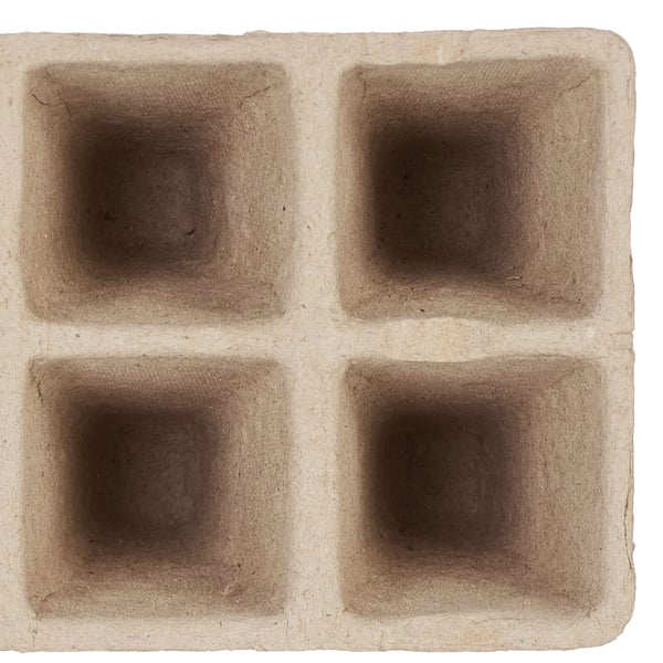 Taimipotit setti, 5.5x3.5x3.5 cm, ruskea, valkoinen