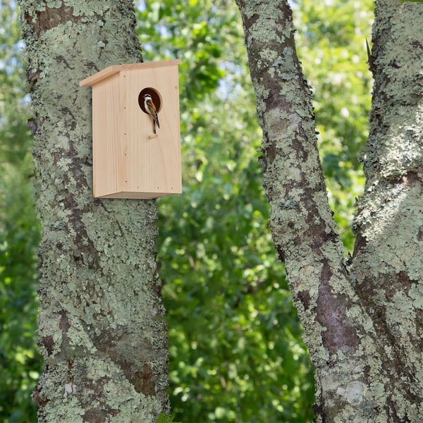 Fågelholk, 25,5x15x16 cm, Natur