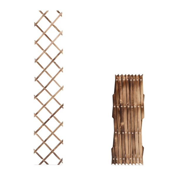 Havestativ, Træ, 180x30 cm, Brun, Kodustaar
