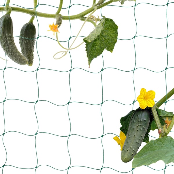 Köynnösverkko, 200x750 cm, Vihreä, Kodustaar