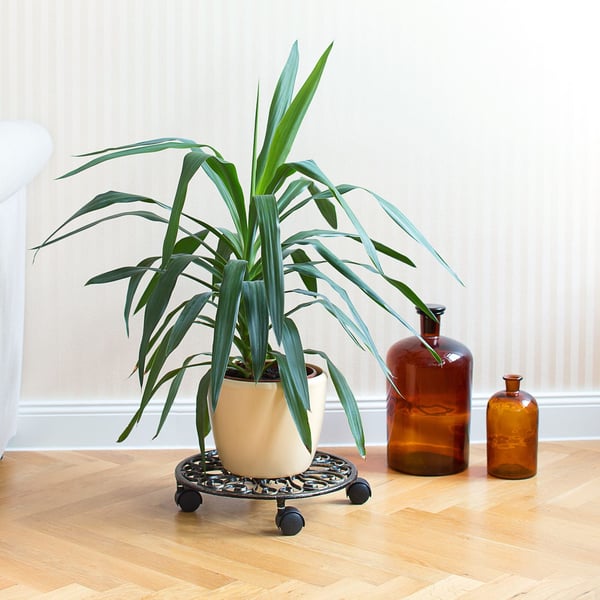 Växtvagn Set, 7.5x34 cm, Gjutjärn, plast, Kodustaar