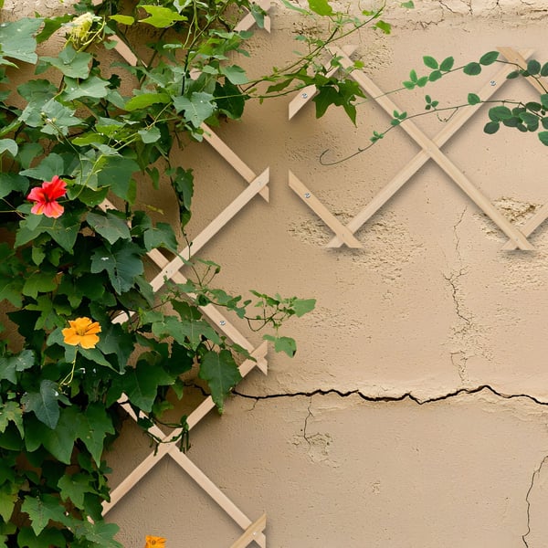 Udtrækkeligt espalier sæt, 180x30x1 cm, naturlig, Kodustaar