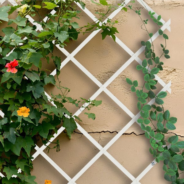 Udtrækkeligt espalier sæt, 180x90x1 cm, naturlig, Kodustaar