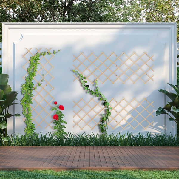 Udtrækkeligt espalier sæt, 180x90x1 cm, naturlig brun, Kodustaar